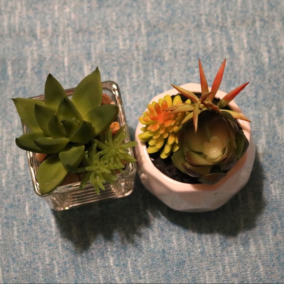 Two CUTE fake succulents! - Picture 2 of 6